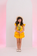Conjunto Nicole